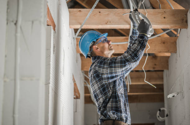 Best Electric Panel Repair  in Mexia, TX